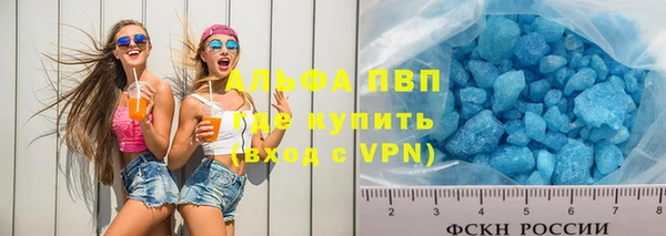 гашик Горняк