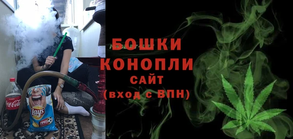 гашик Горняк