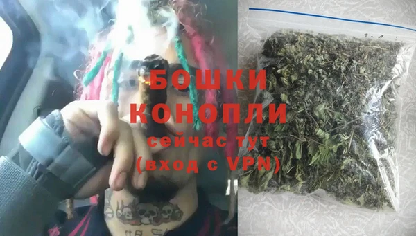гашик Горняк
