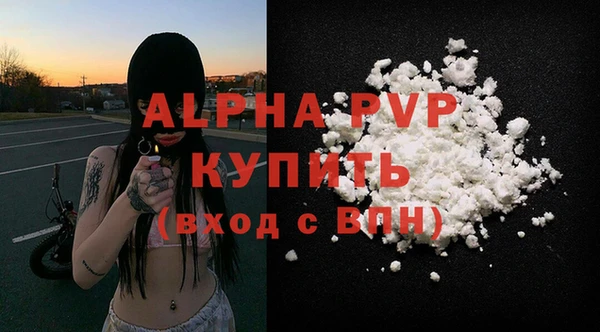 стаф Гусиноозёрск