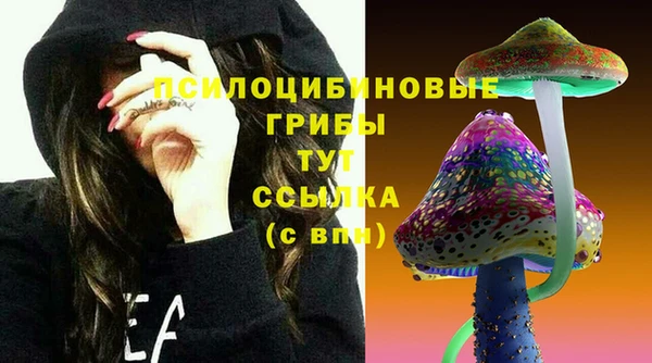 стаф Гусиноозёрск
