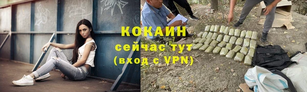 гашик Горняк