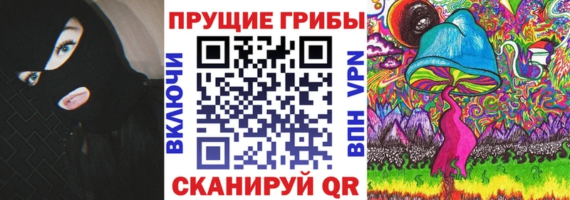 Галлюциногенные грибы Psilocybine cubensis  Реж 