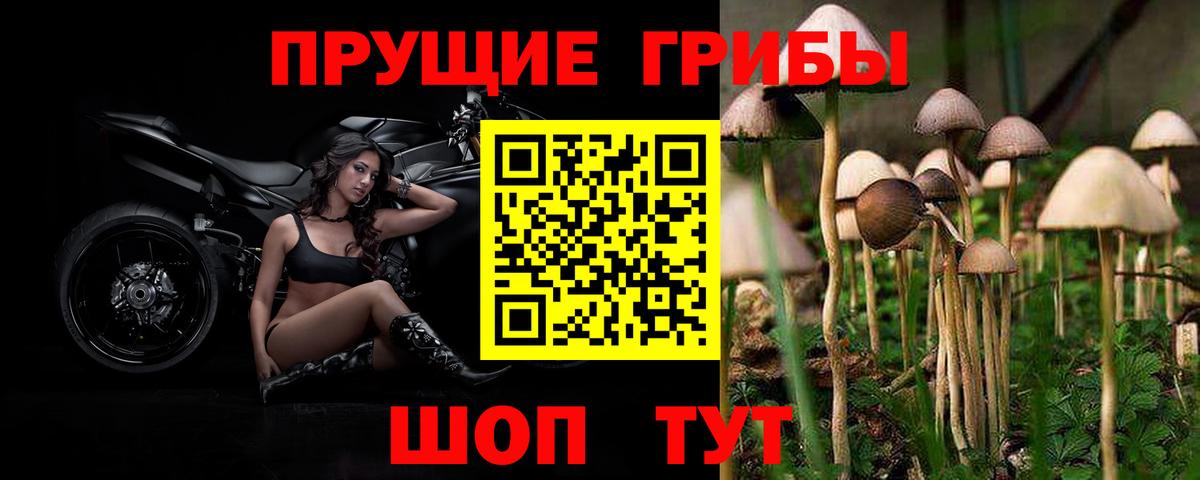 Реж  Галлюциногенные грибы Psilocybine cubensis  Псилоцибиновые грибы ЛСД  Вход с VPN 