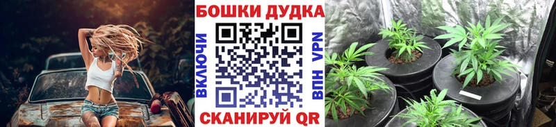 Каннабис Bruce Banner  omg сайт  Реж  цены  